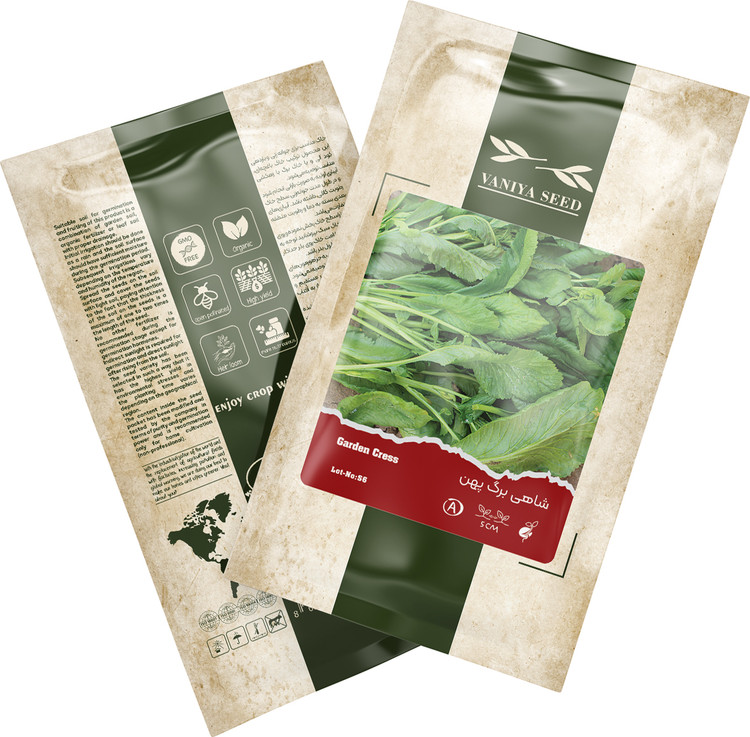 بذر شاهی برگ گهن آذر سبزینه