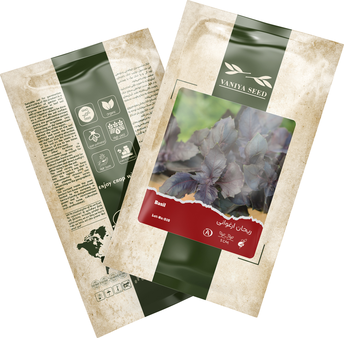 بذر ریحان ارغوانی آذر سبزینه