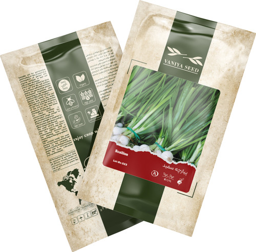 بذر پیازچه سفید آذر سبزینه