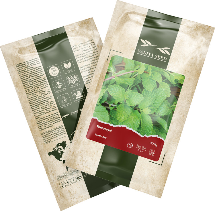 بذر پونه آذر سبزینه