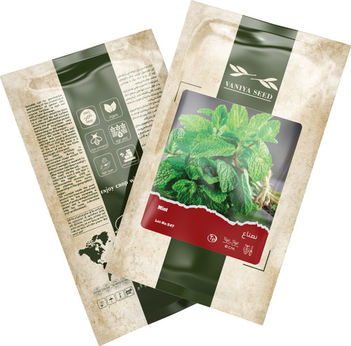 بذر نعناع آذر سبزینه