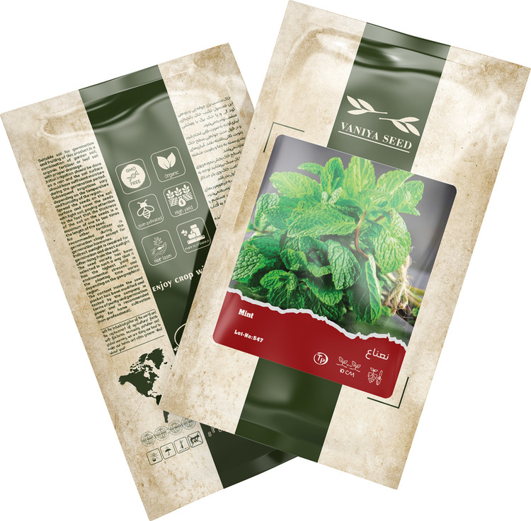 بذر نعناع آذر سبزینه