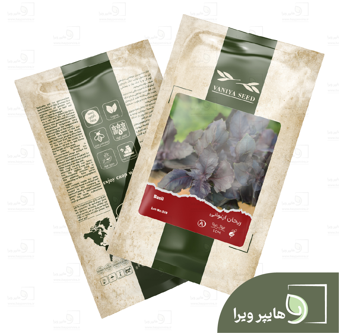 بذر ریحان ارغوانی آذر سبزینه