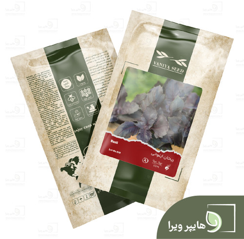بذر ریحان ارغوانی آذر سبزینه