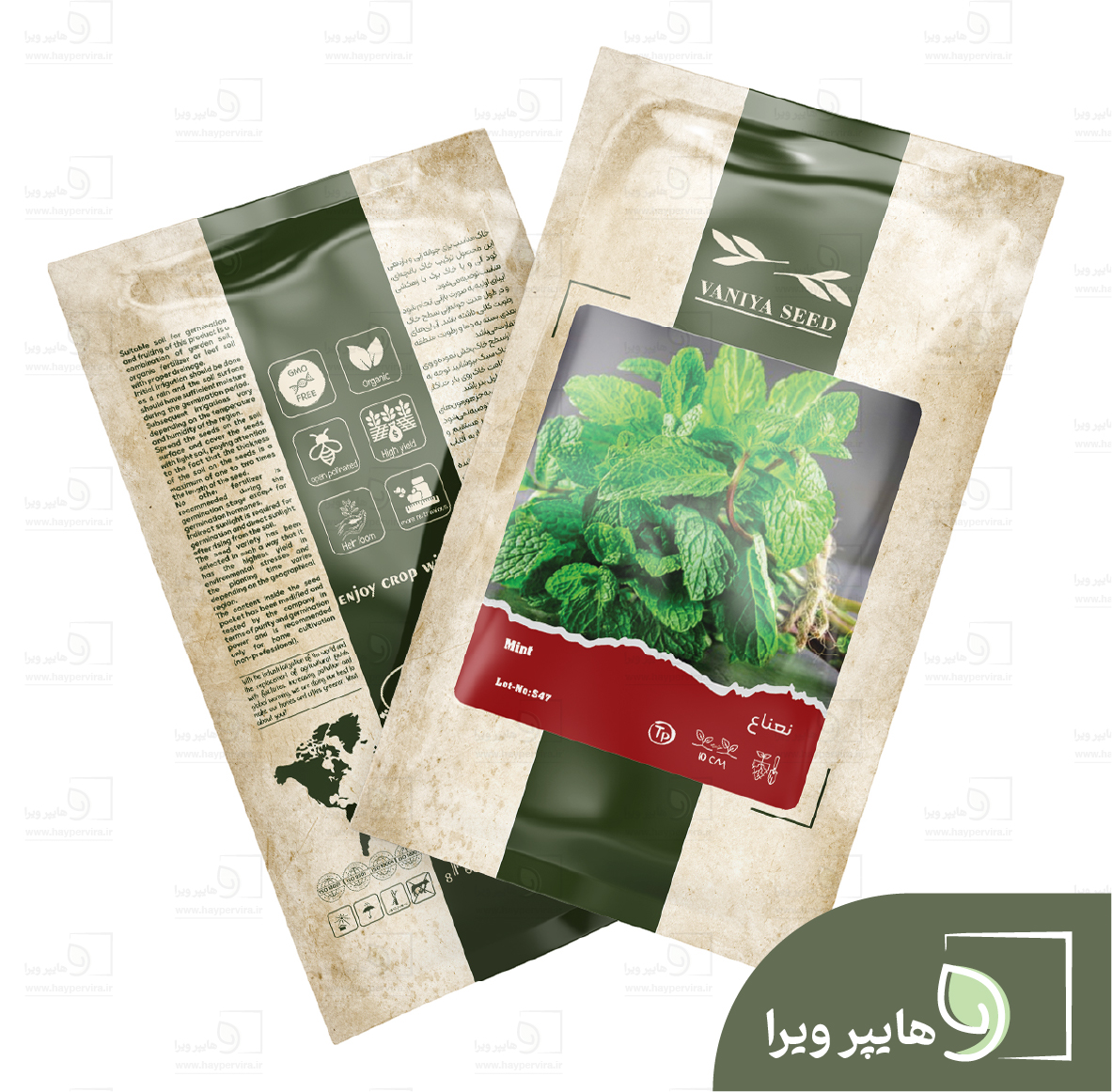 بذر نعناع آذر سبزینه