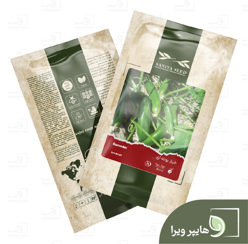 بذر خیار بوته ای وانیا سید
