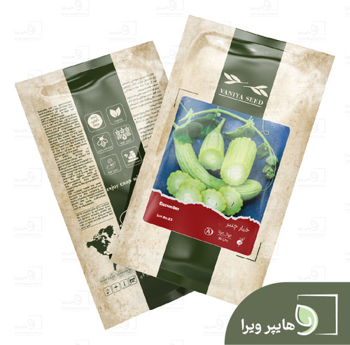بذر خیار چنبر وانیا سید
