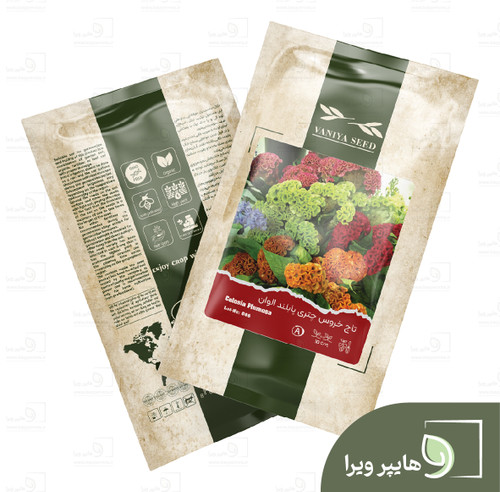 بذر تاج خروس چتری پا بلند الوان وانیا سید