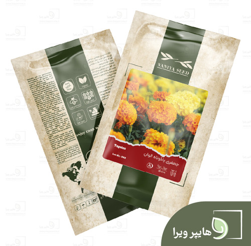 بذر جعفری پاکوتاه الوان وانیا سید
