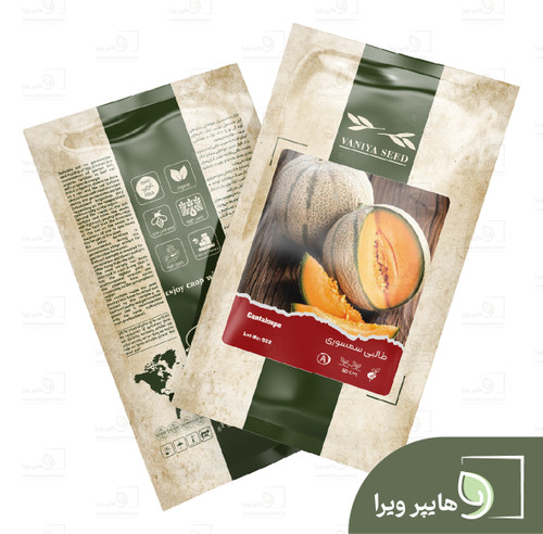 بذر طالبی سمسوری وانیا سید