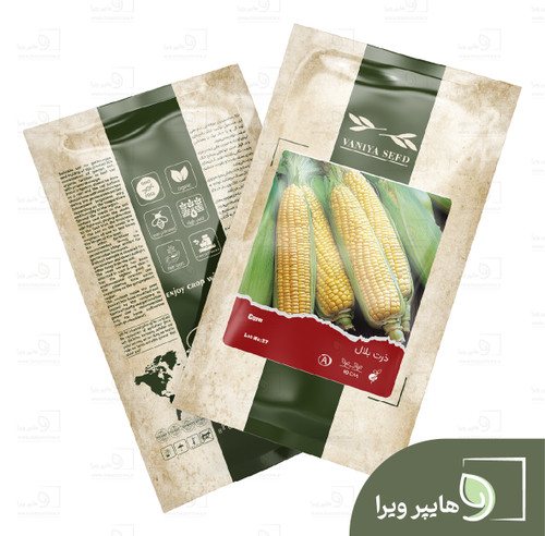 بذر ذرت بلال وانیا سید