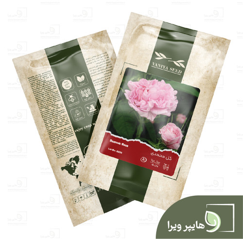بذر گل محمدی وانیا سید