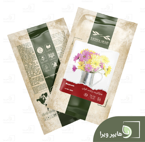 بذر مارگریت پابلند سفید وانیا سید