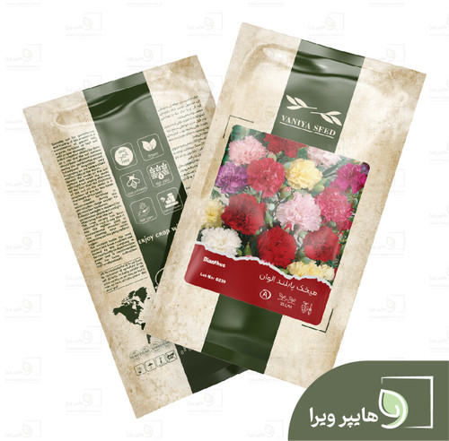 بذر میخک پابلند الوان وانیا سید