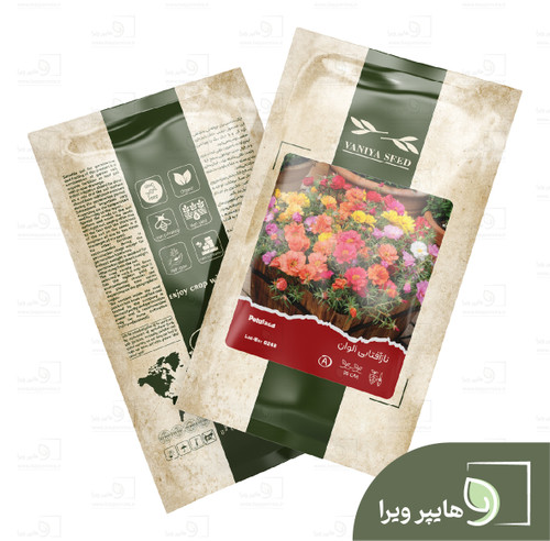 بذر نازآفتابی الوان وانیا سید
