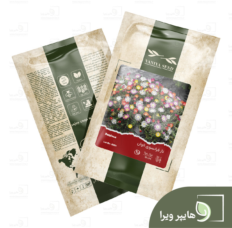 بذر ناز فرانسوی الوان وانیا سید