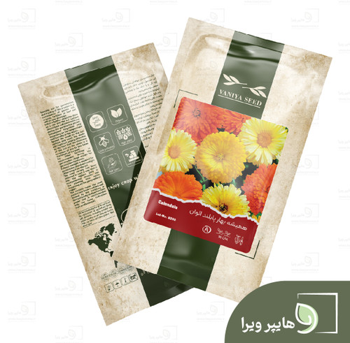 بذر همیشه بهار پابلند الوان وانیا سید